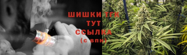 ГАЛЛЮЦИНОГЕННЫЕ ГРИБЫ Верхнеуральск