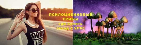 ГАЛЛЮЦИНОГЕННЫЕ ГРИБЫ Верхнеуральск