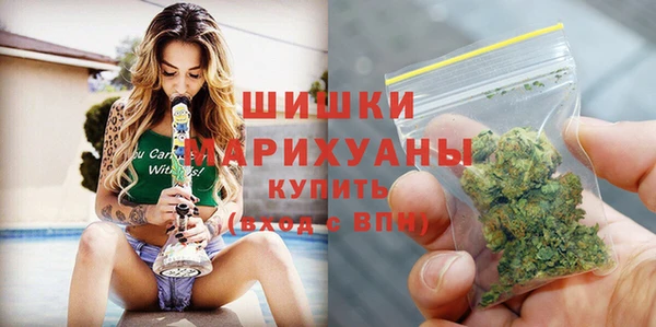 прущие грибы Верея