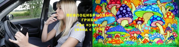 гидропоника Верхний Тагил