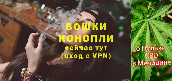 прущие грибы Верея