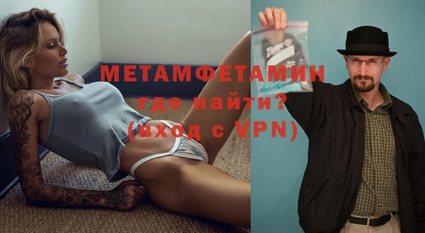 прущие грибы Верея