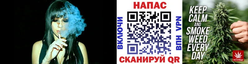 Купить  Мосальск  Бошки Шишки планчик 